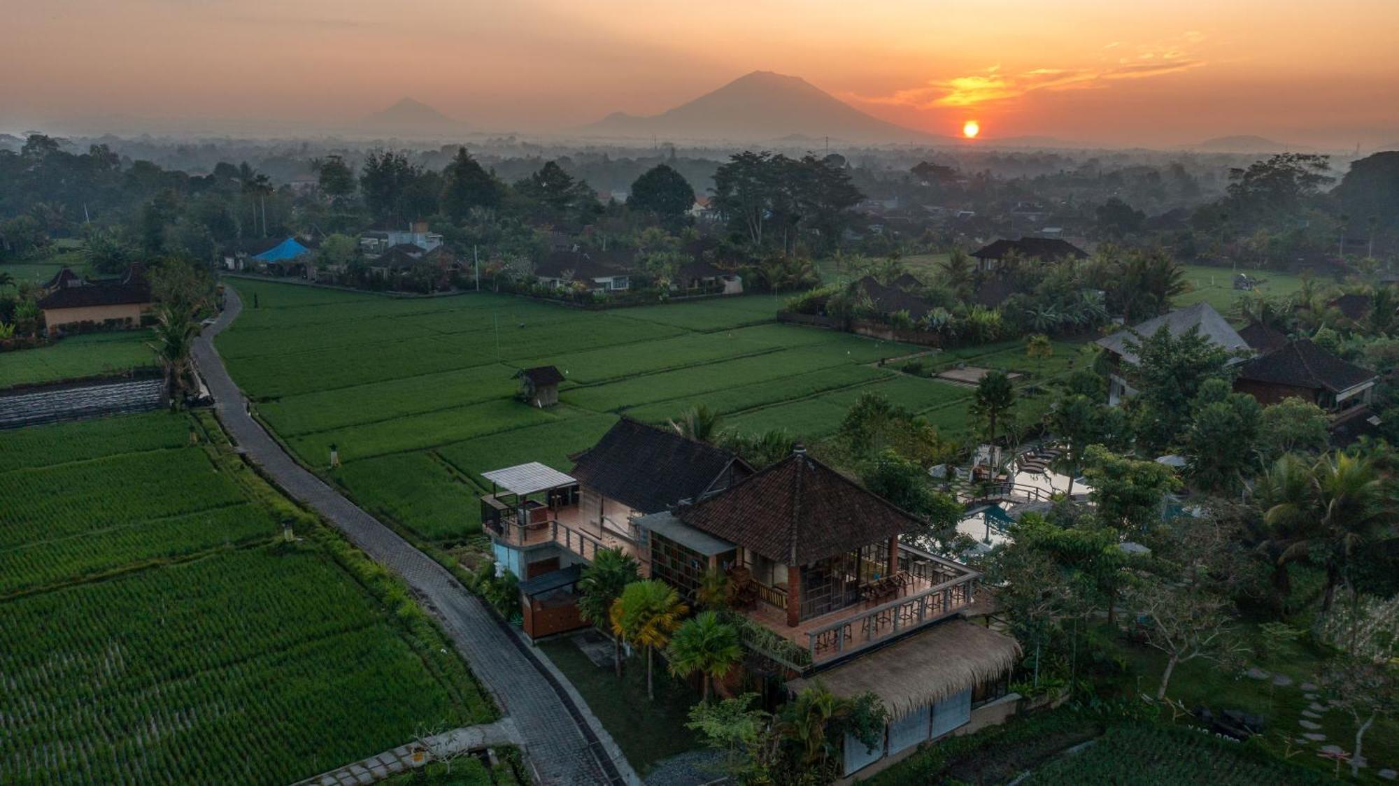 Candy Villa By Pramana Villas Ubud Dış mekan fotoğraf